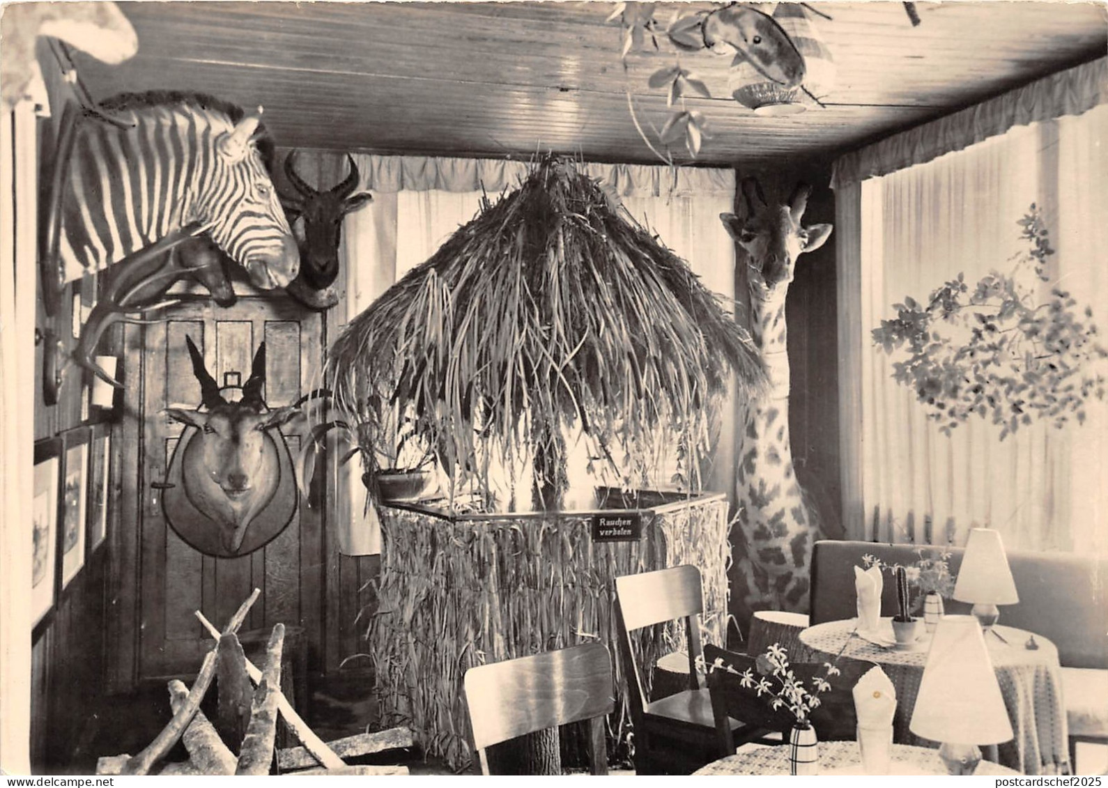 BG21752 tierecke   klein afrika bar hotel vetschau  germany CPSM 14.5x9cm