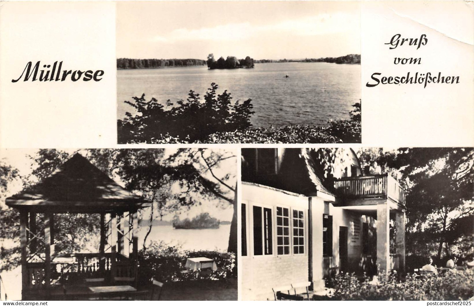 BG23973 mullrose grusse vom seeschlosschen   germany CPSM 14x9cm