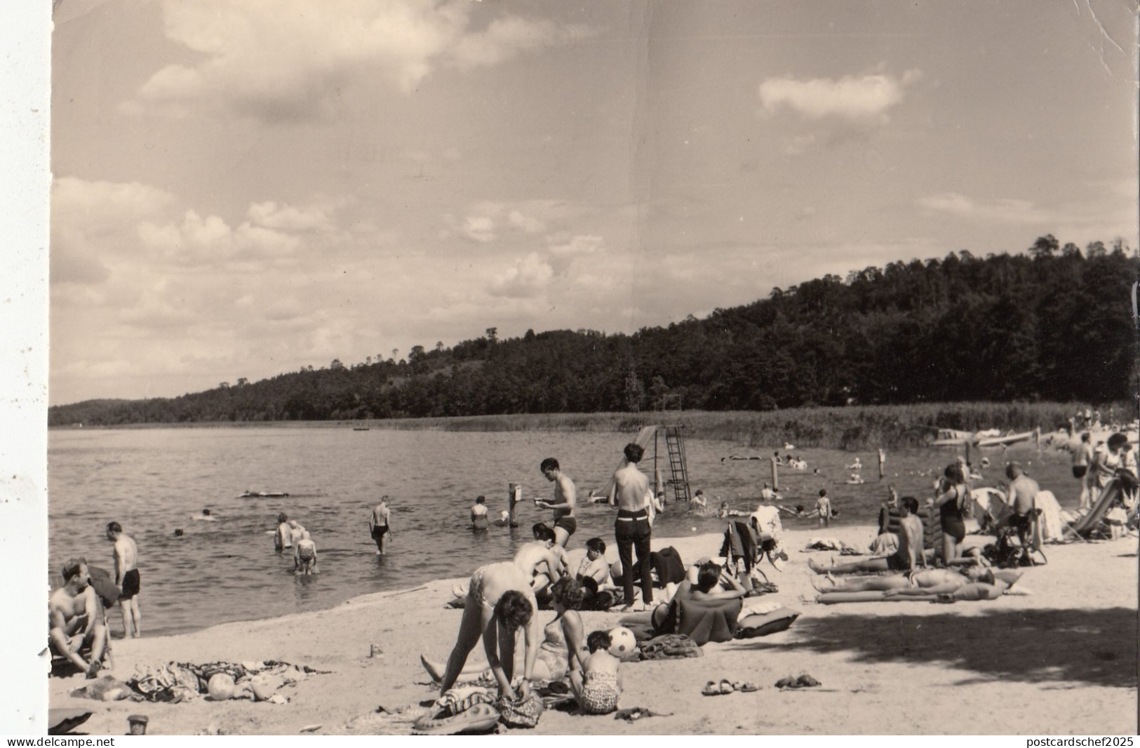 BG29281 ferch am schwielowsee   germany   CPSM 14.5x10cm