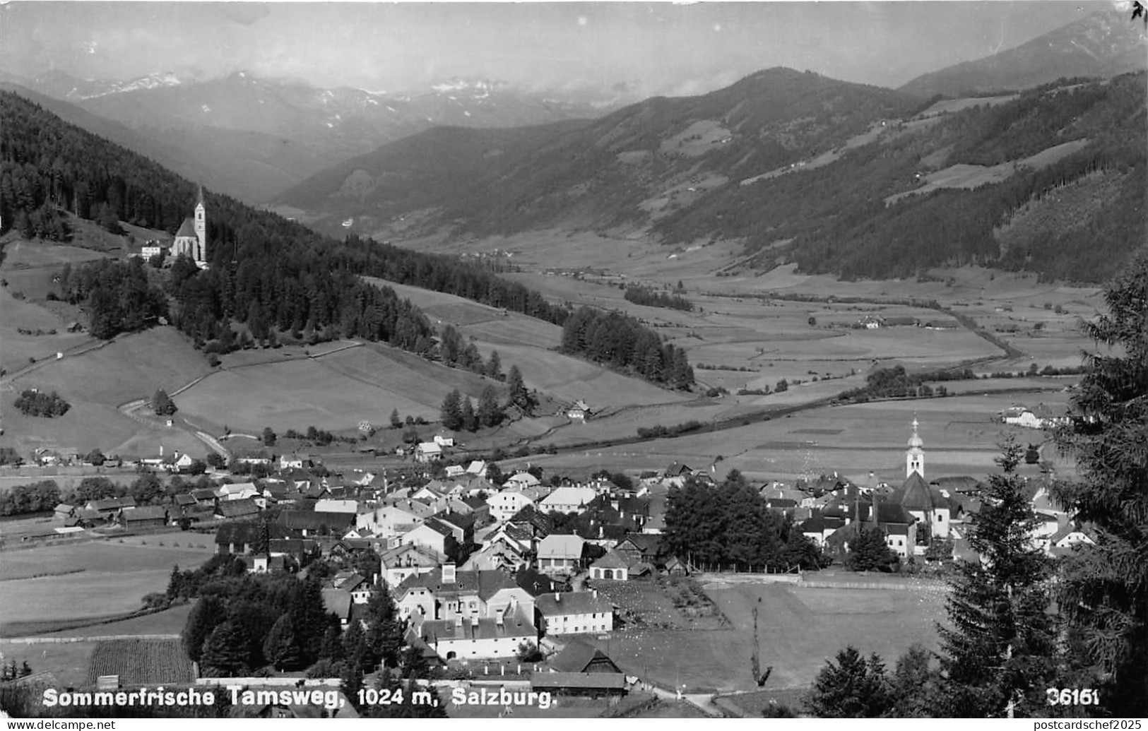 BG29654 sommerfrische tamsweg salzburg  austria  CPSM 14x9cm