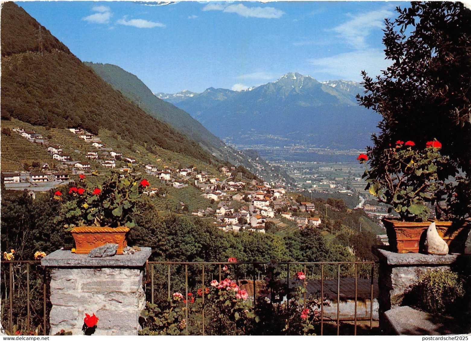 BG6706 gordola gordemo    italy