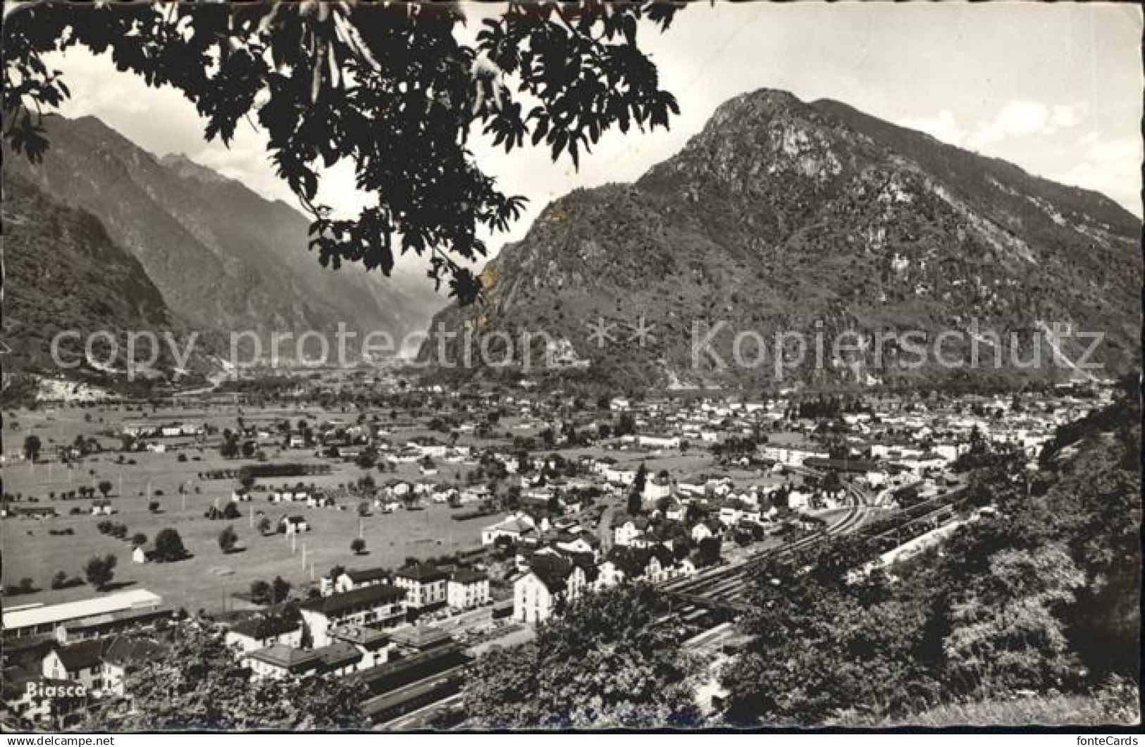 Biasca Panorama