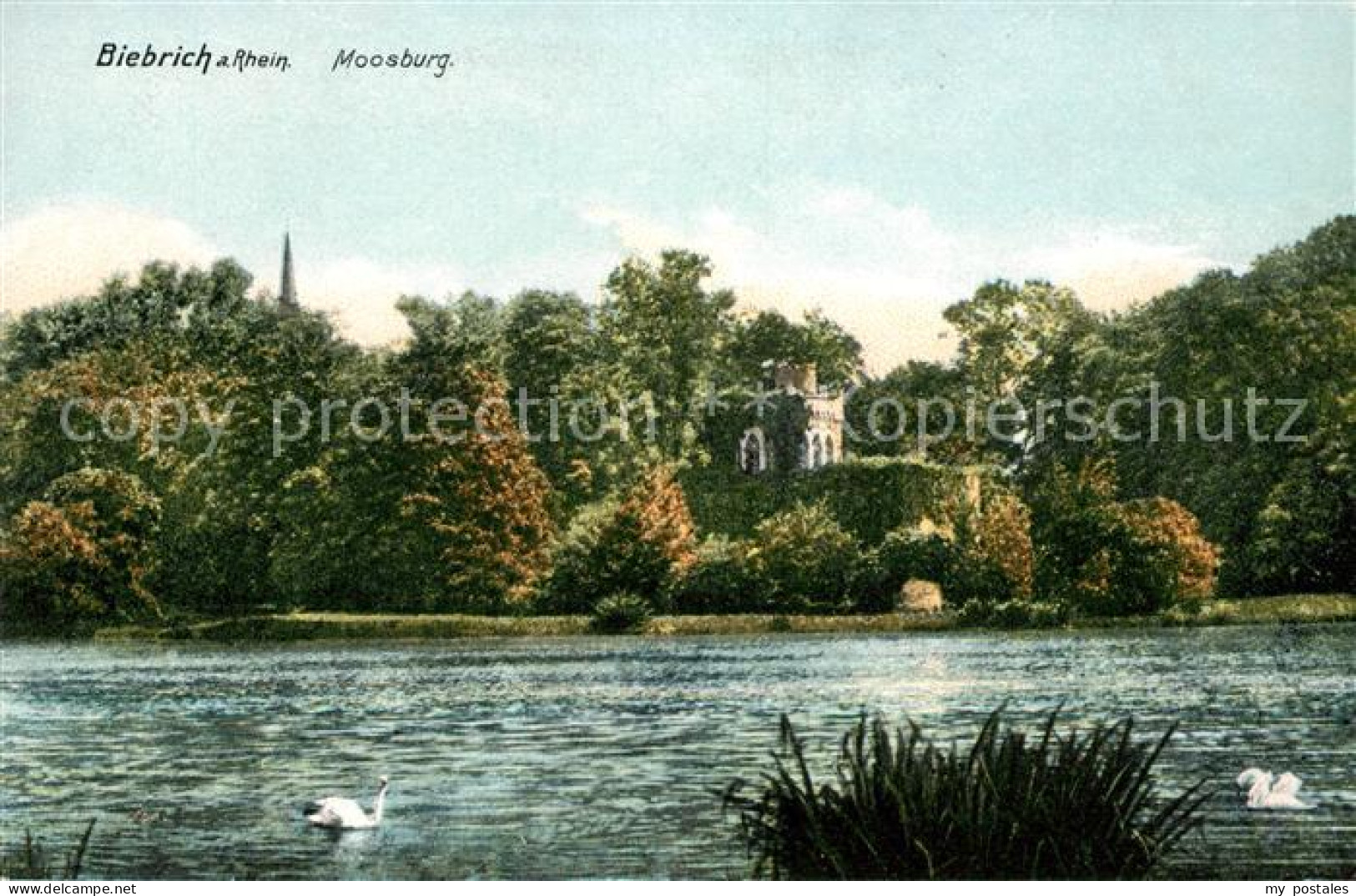 Biebrich Katzenelnbogen Moosburg