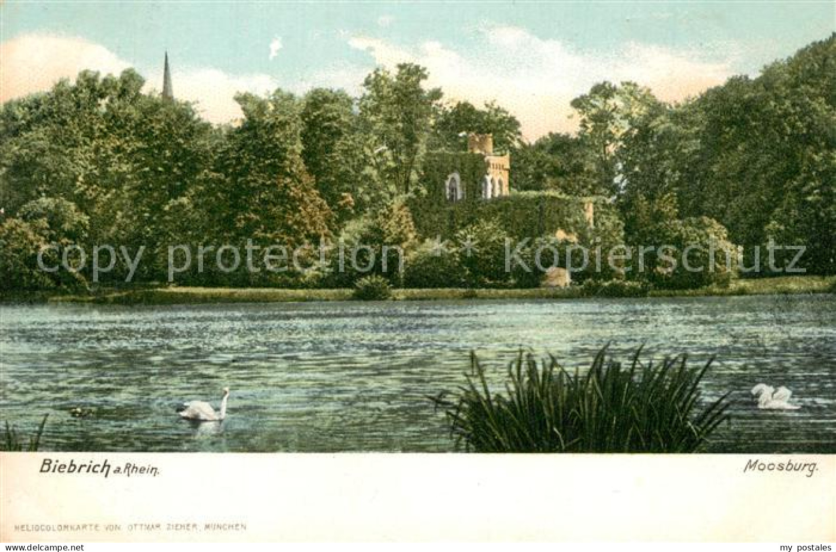 Biebrich Wiesbaden Moosburg Rheinpartie
