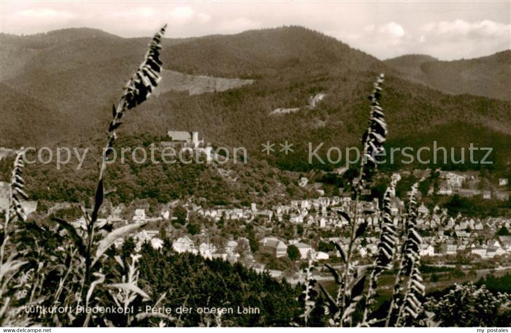 Biedenkopf Lahn Panorama mit Schloss