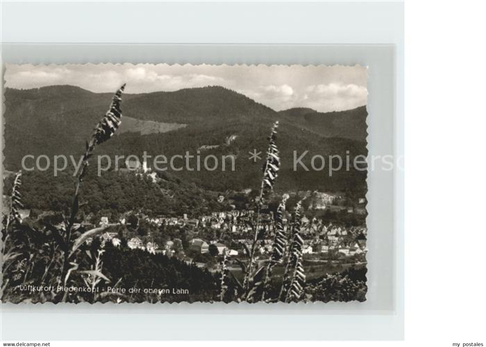 Biedenkopf Stadtansicht