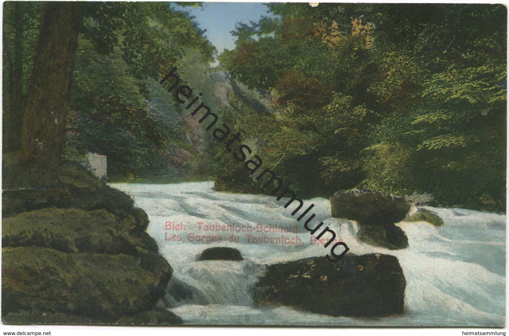 Biel - Taubenloch-Schlucht - Verlag F. Graenicher Biel gel. 1918