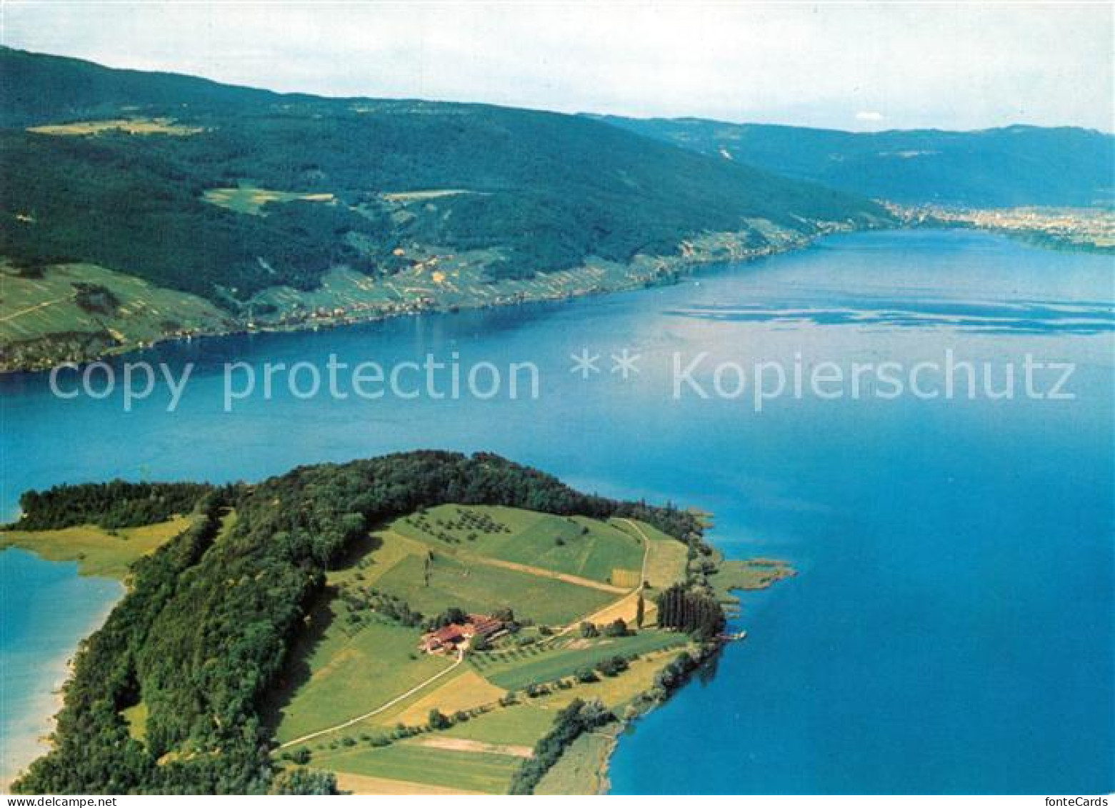 Bielersee Fliegeraufnahme Petersinsel