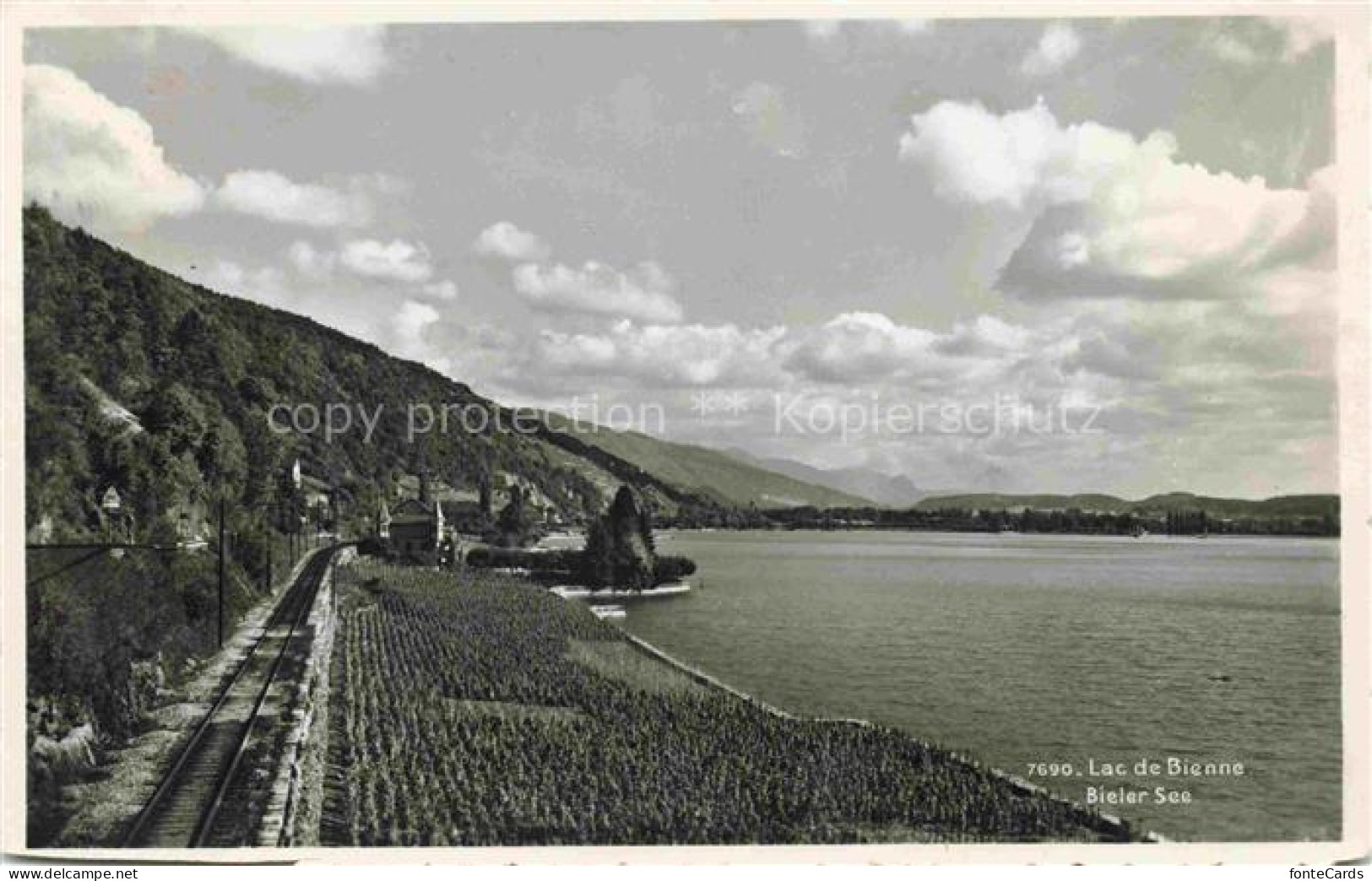 Bielersee Lac de Bienne BE Eisenbahn Uferregion