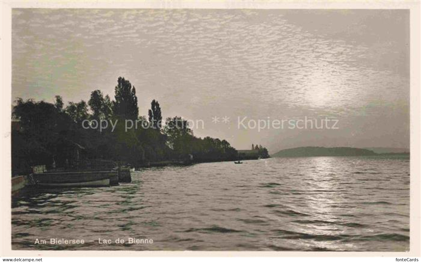 Bielersee Lac de Bienne BE in der Abendsonne