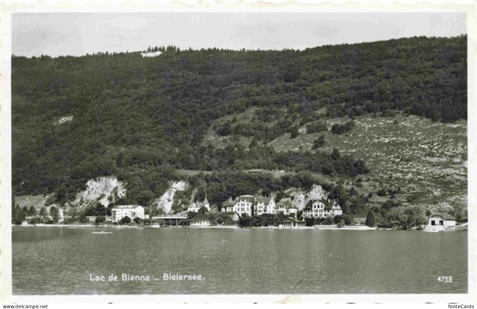 Bielersee Lac de Bienne BE Panorama