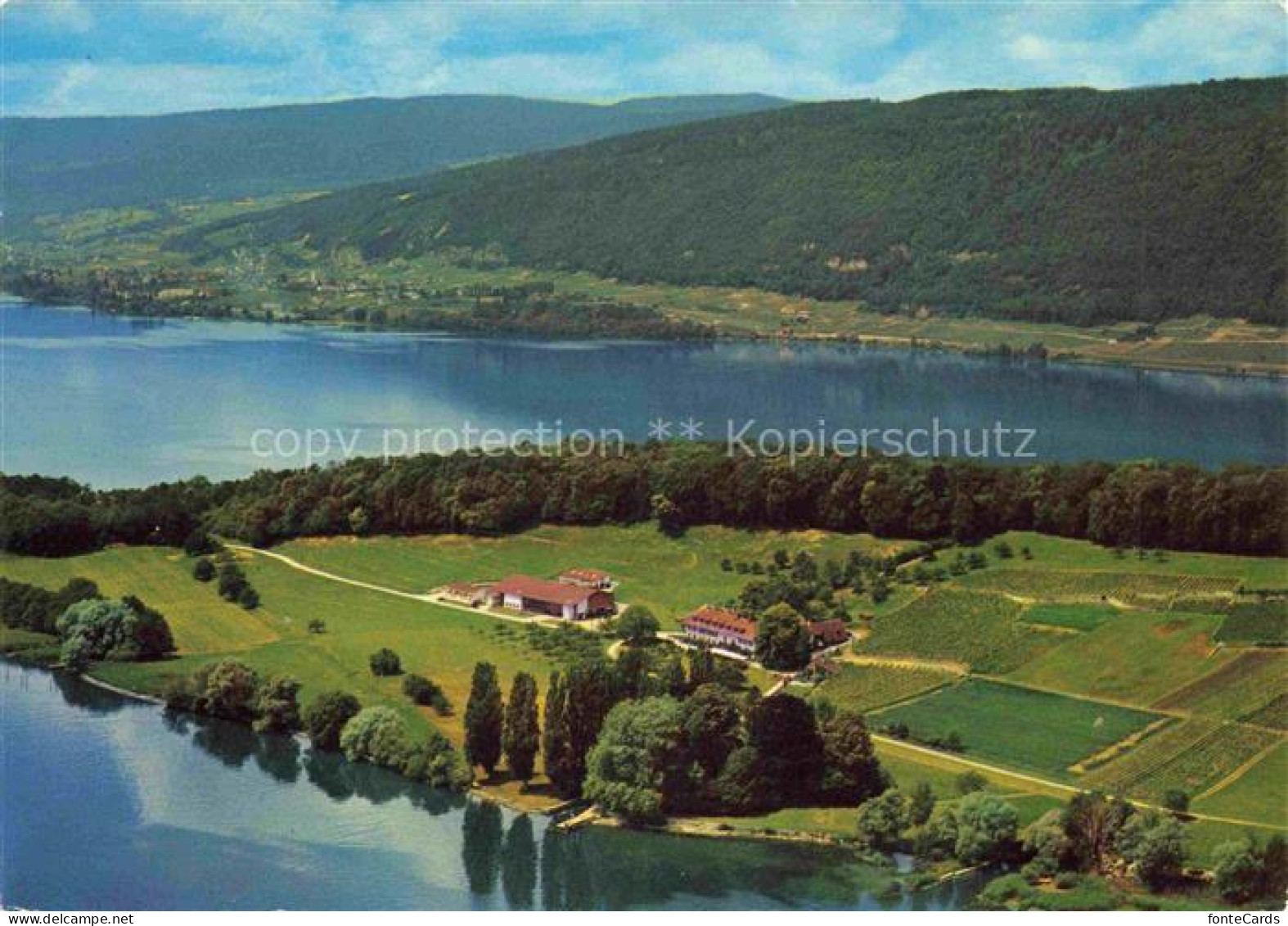 Bielersee Lac de Bienne BE St. Petersinsel