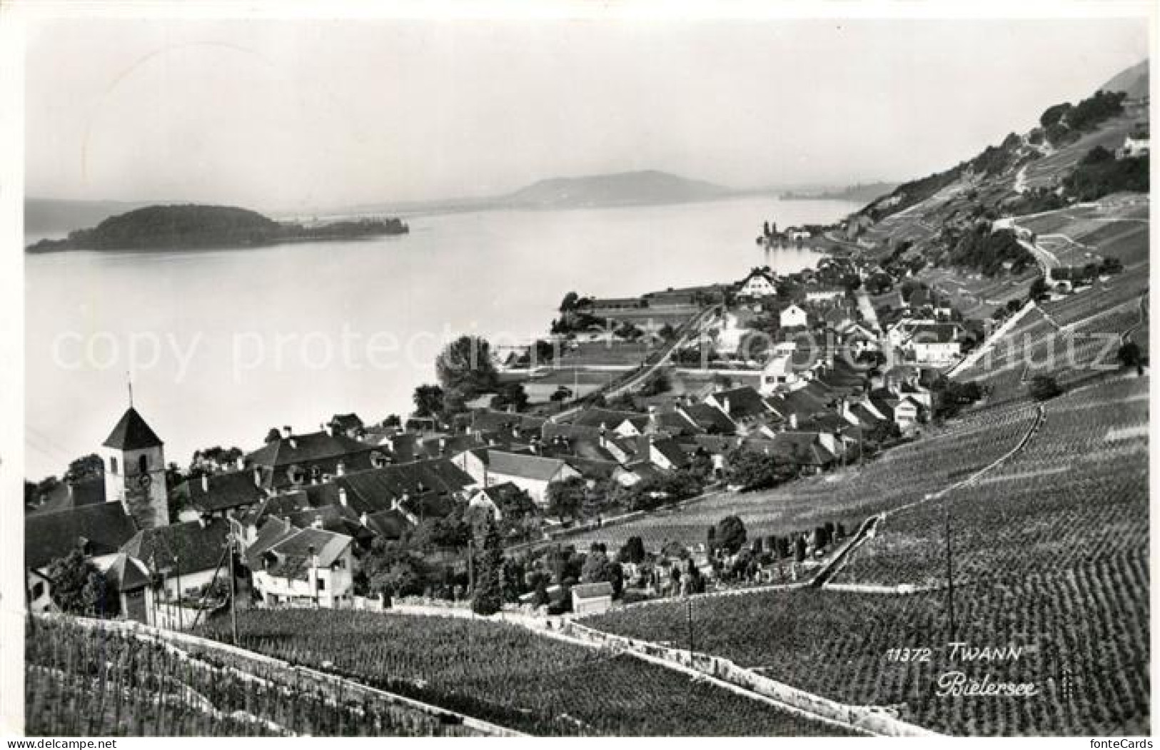 Bielersee Panorama