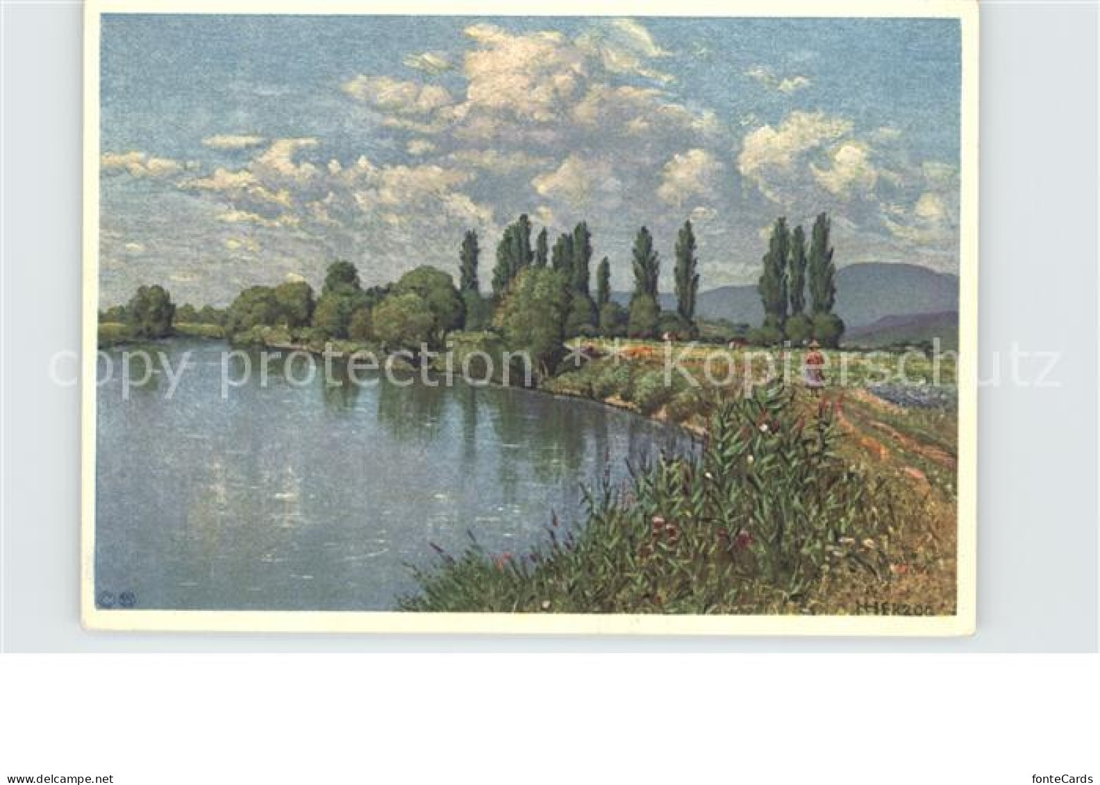 Bielersee Panorama