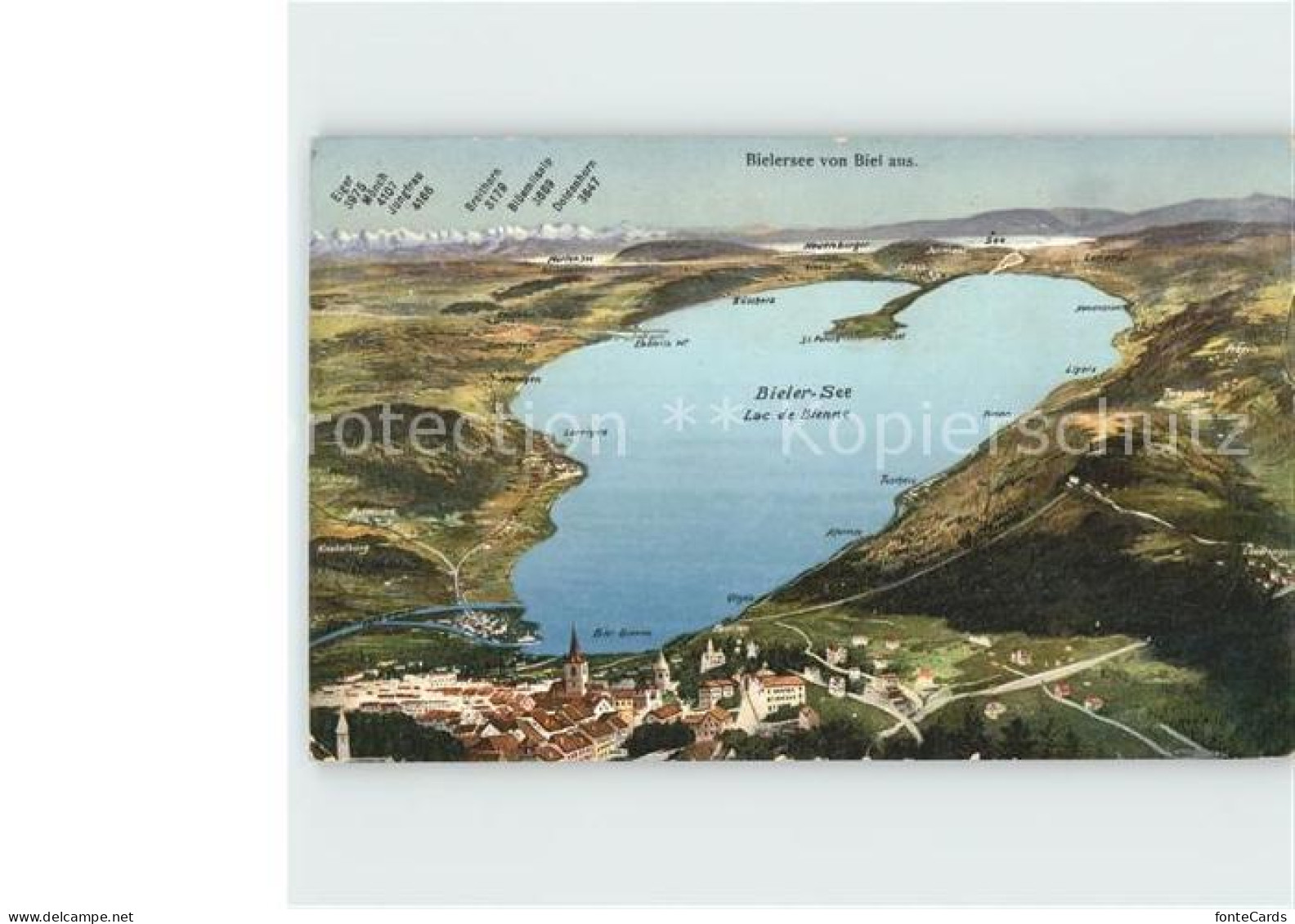 Bielersee Panoramakarte