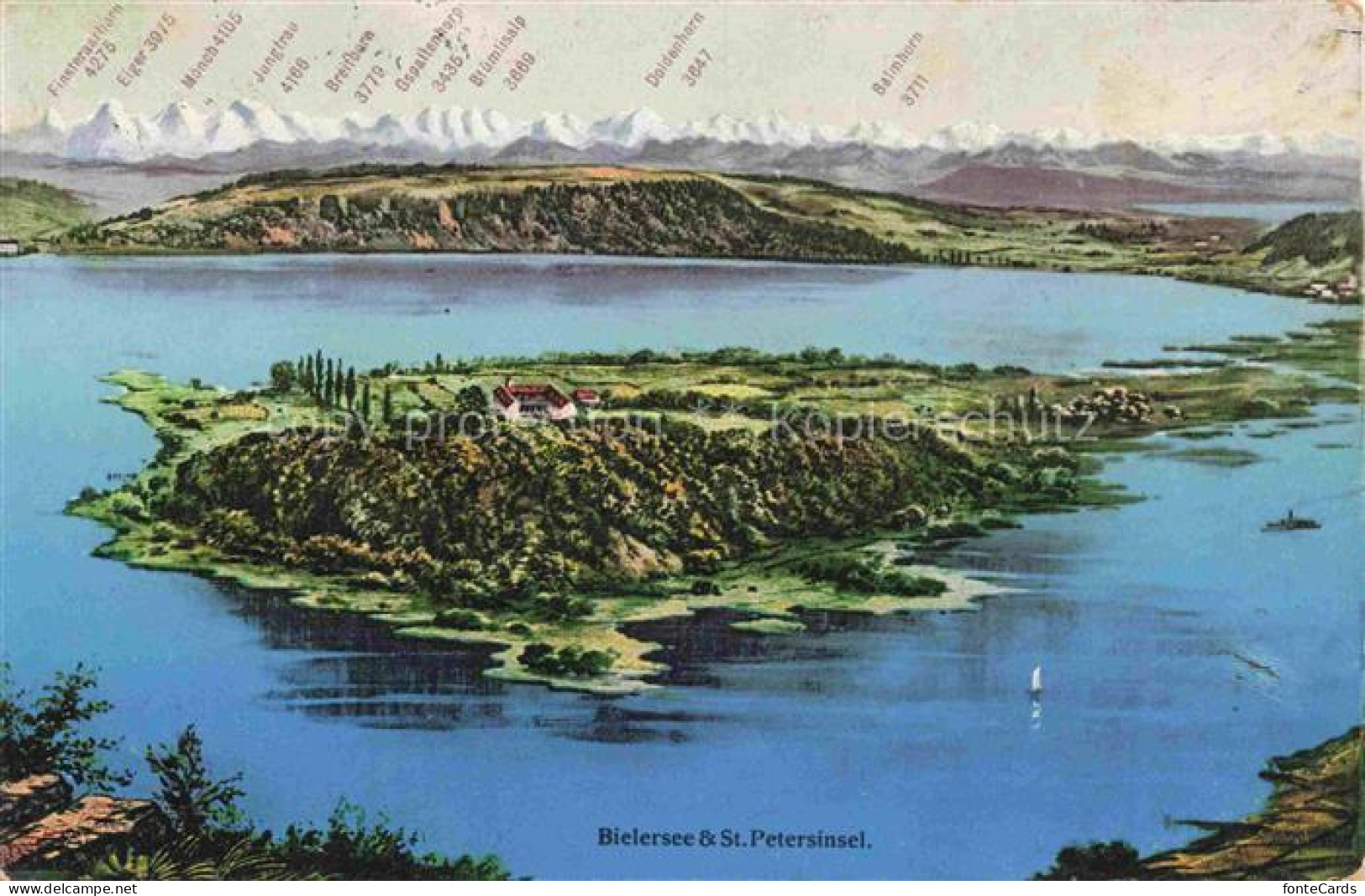 Bielerseeinsel Lac de Bienne BE Vue aerienne