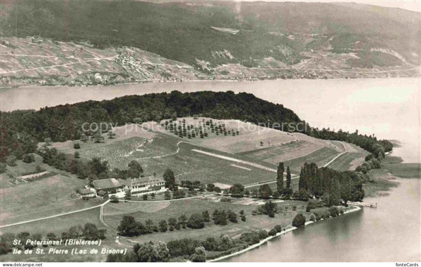 Bielerseeinsel Lac de Bienne BE Vue aerienne