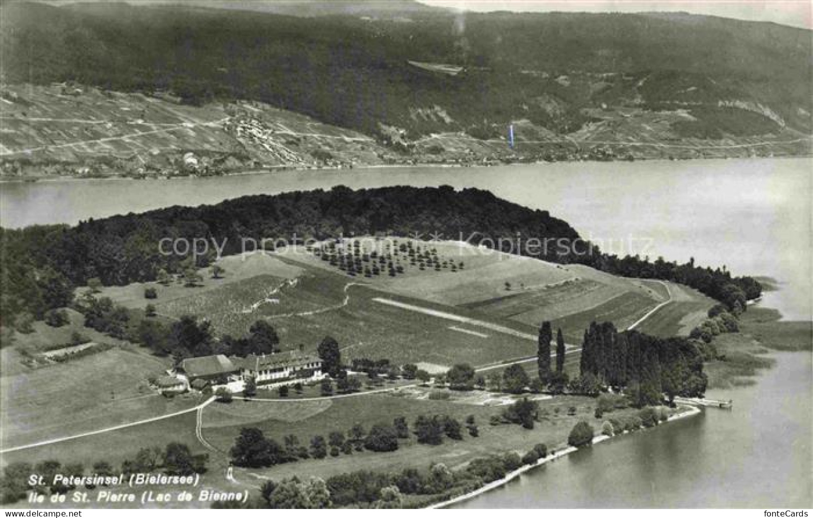 Bielerseeinsel Lac de Bienne BE Vue aerienne