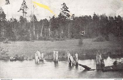 Belarus - Białowieża Forest