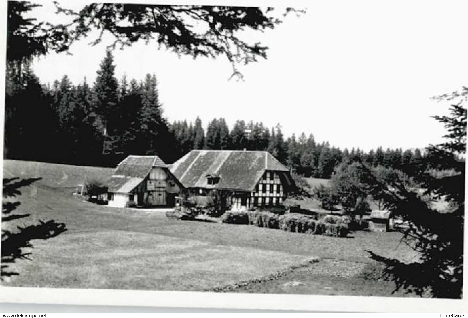 Biglen Waldeck Arnisaege