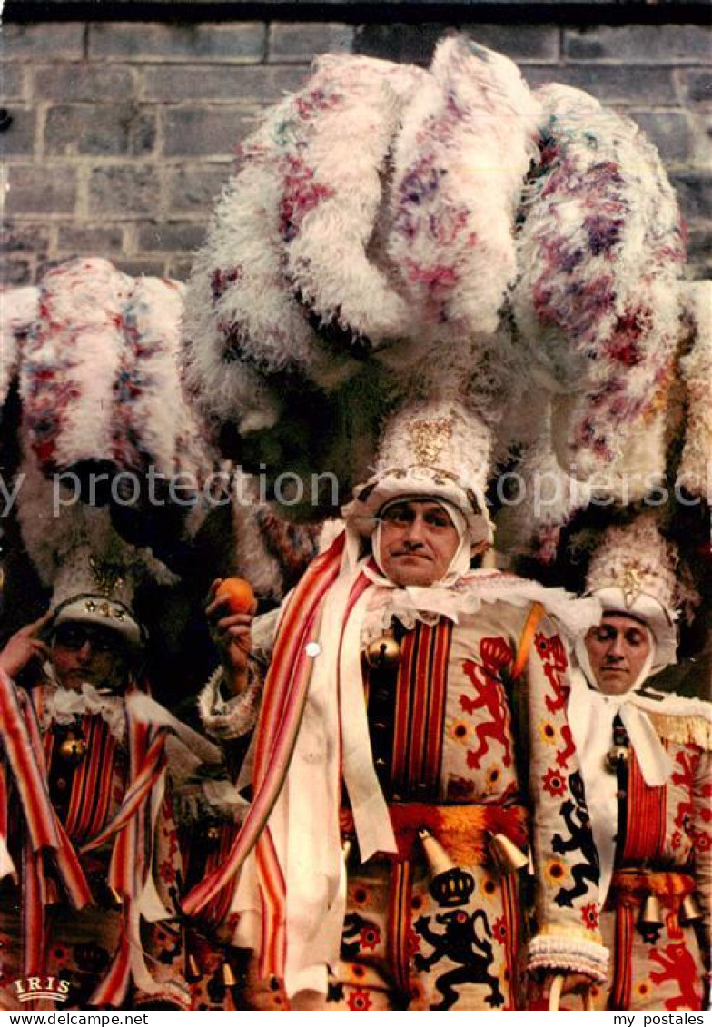 Binche Hainaut Belgie Carnaval