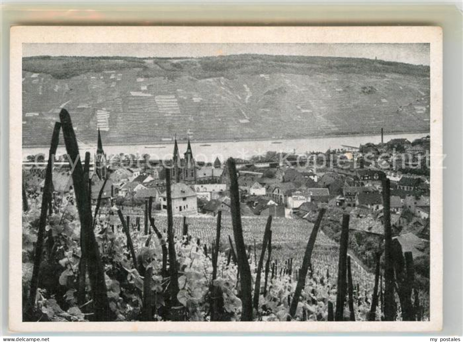 Bingen Rhein
