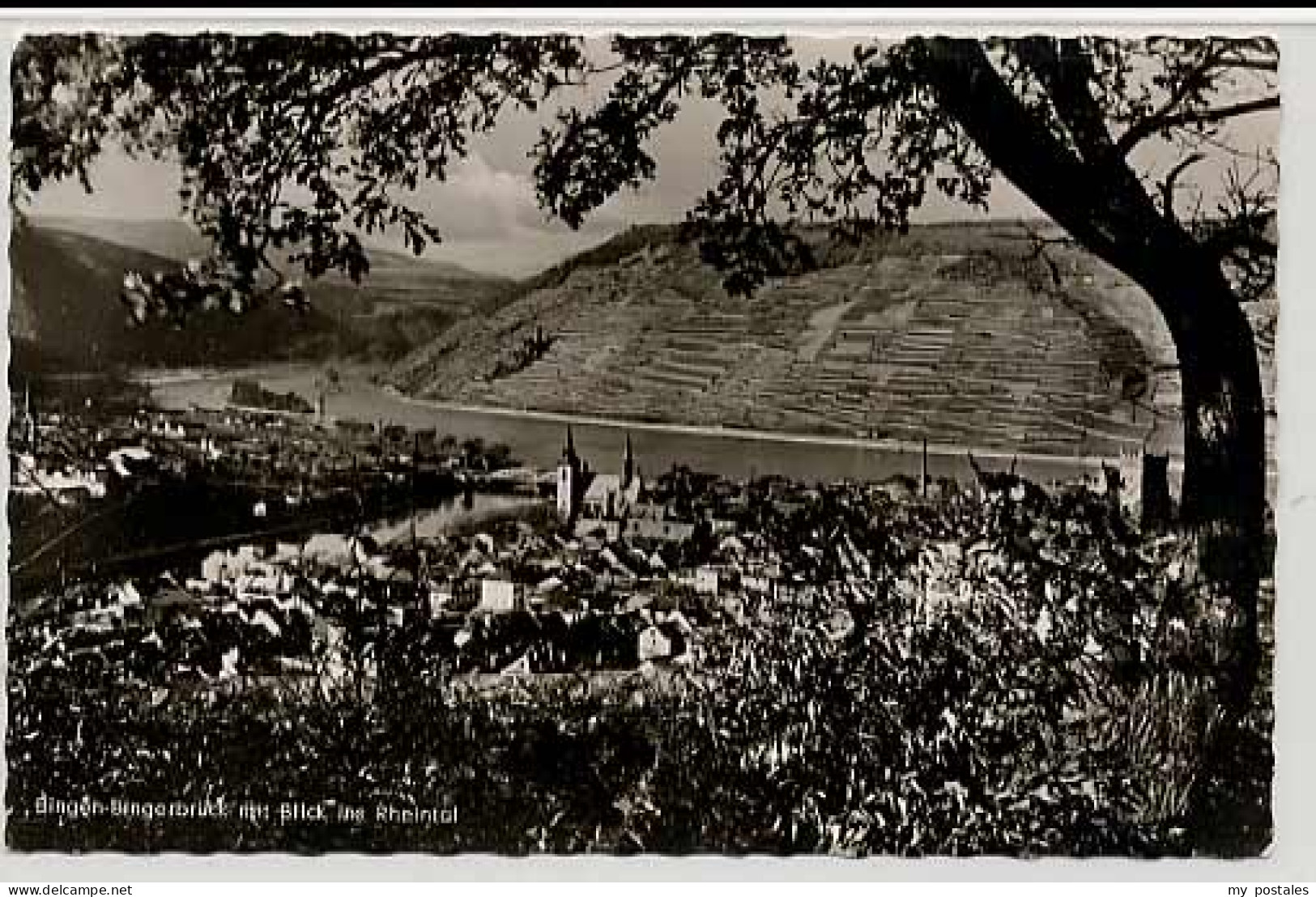 Bingen Rhein Bingen