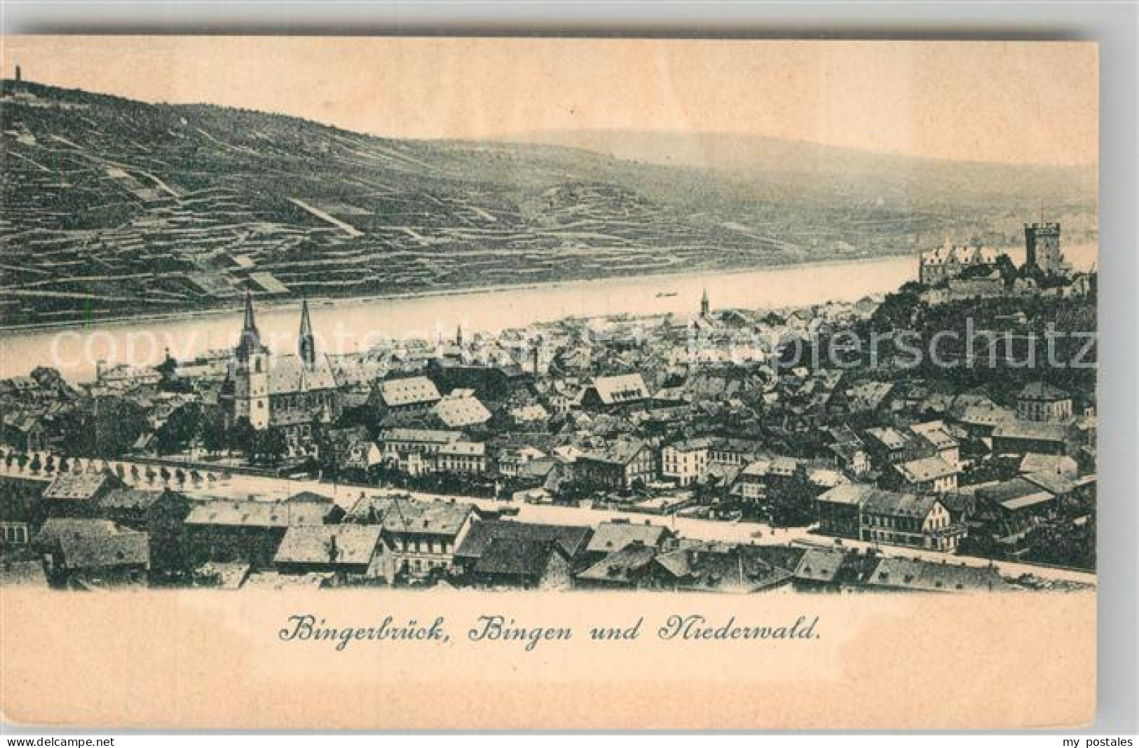 Bingerbrueck Rhein Panorama Niederwald