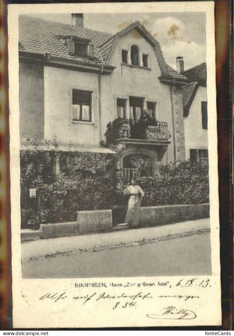 Binningen BL Binningen Haus zur gruenen Aue x 1913