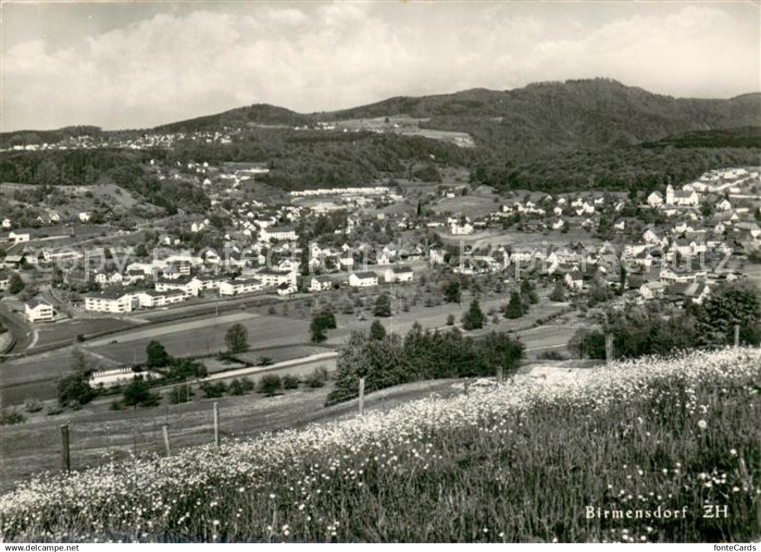 Birmensdorf Panorama