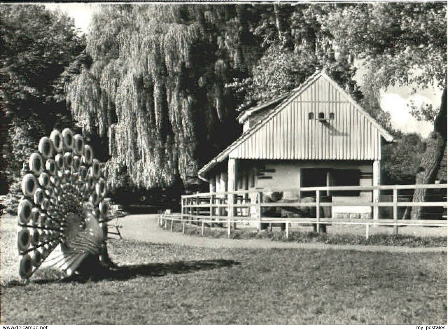 Bischofswerda Tierpark