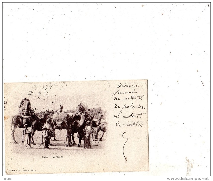 BISKRA CARAVANE  DE CHAMEAUX