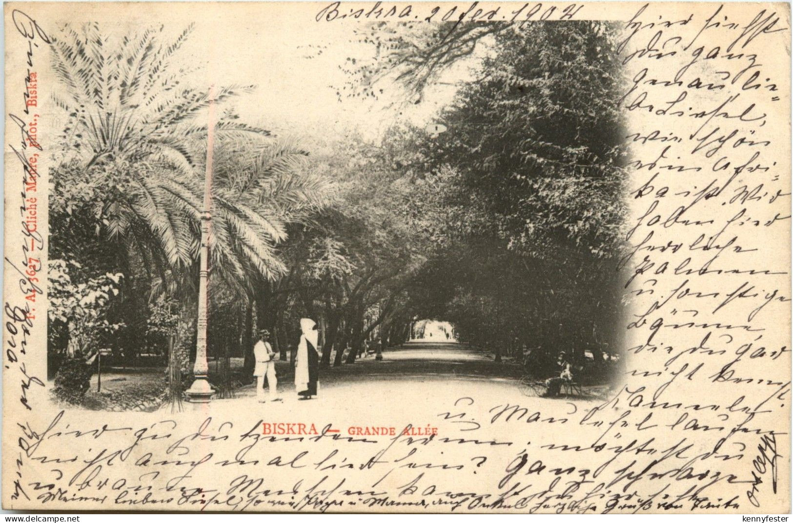 Biskra - Grande Allee