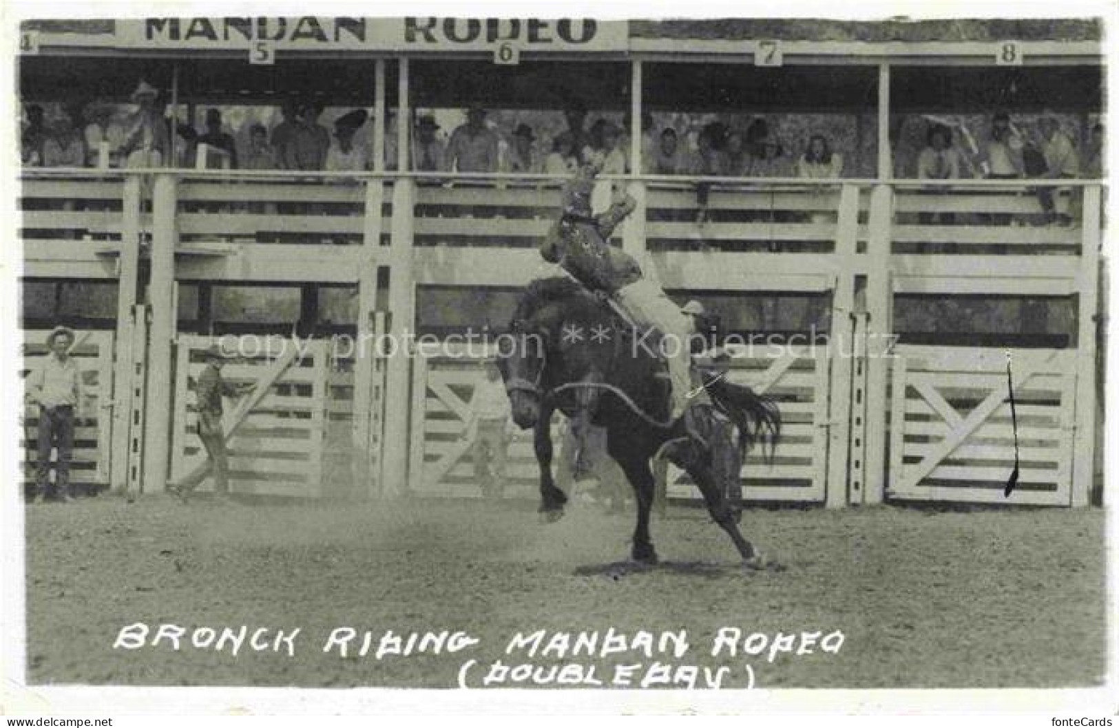 Bismarck North Dakota USA Bronck Riding Mandan Rodeo