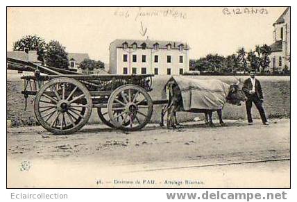 Bizanos   ( identifiée a: ):       64       Attelage béarnais   (voir scan)