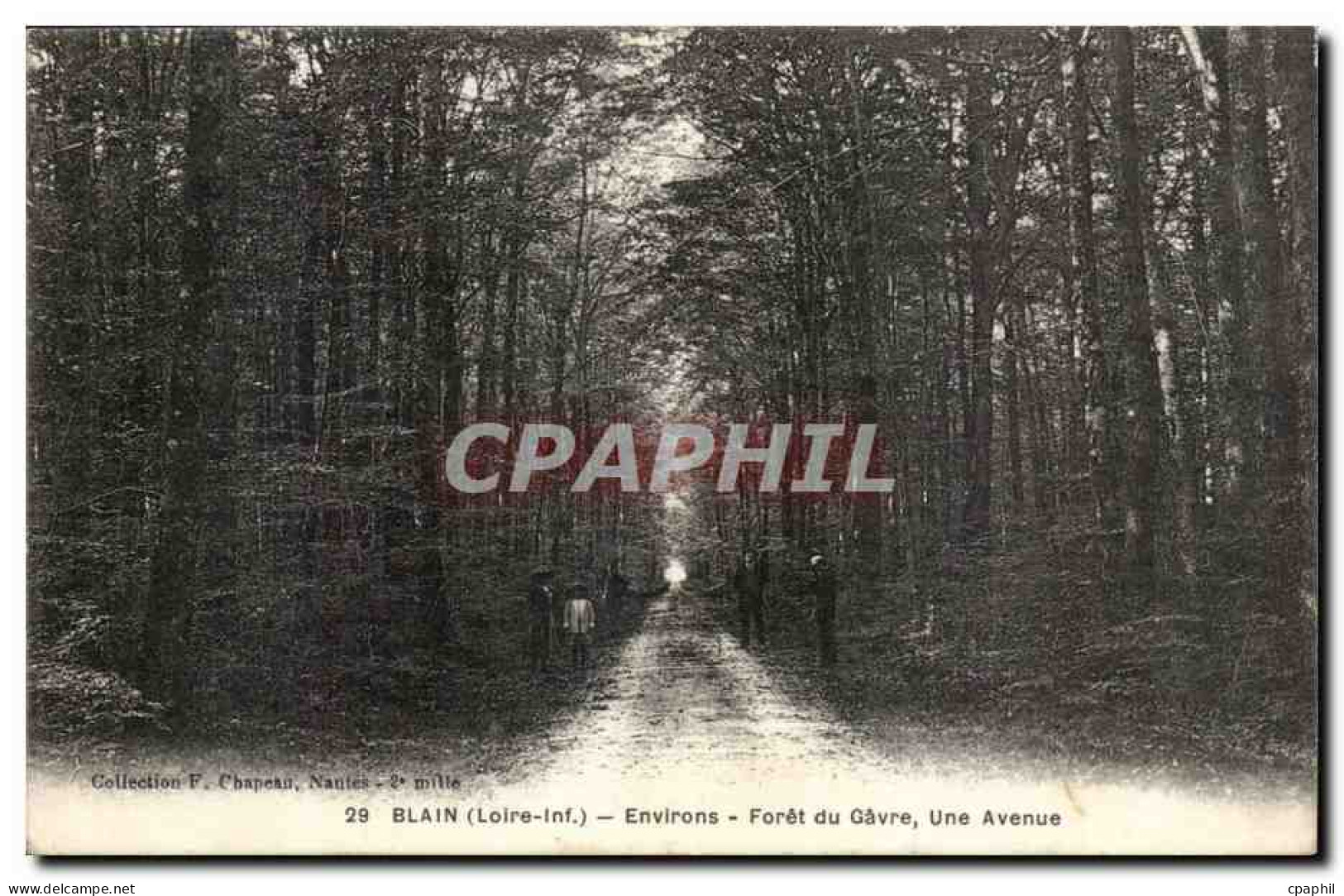 Blain CPA Environs Foret du Gavre Une avenue