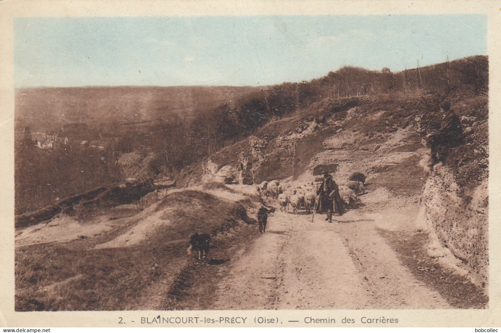 BLAINCOURT-les-PRECY (Oise): Chemin des Carrières - Berger - Moutons