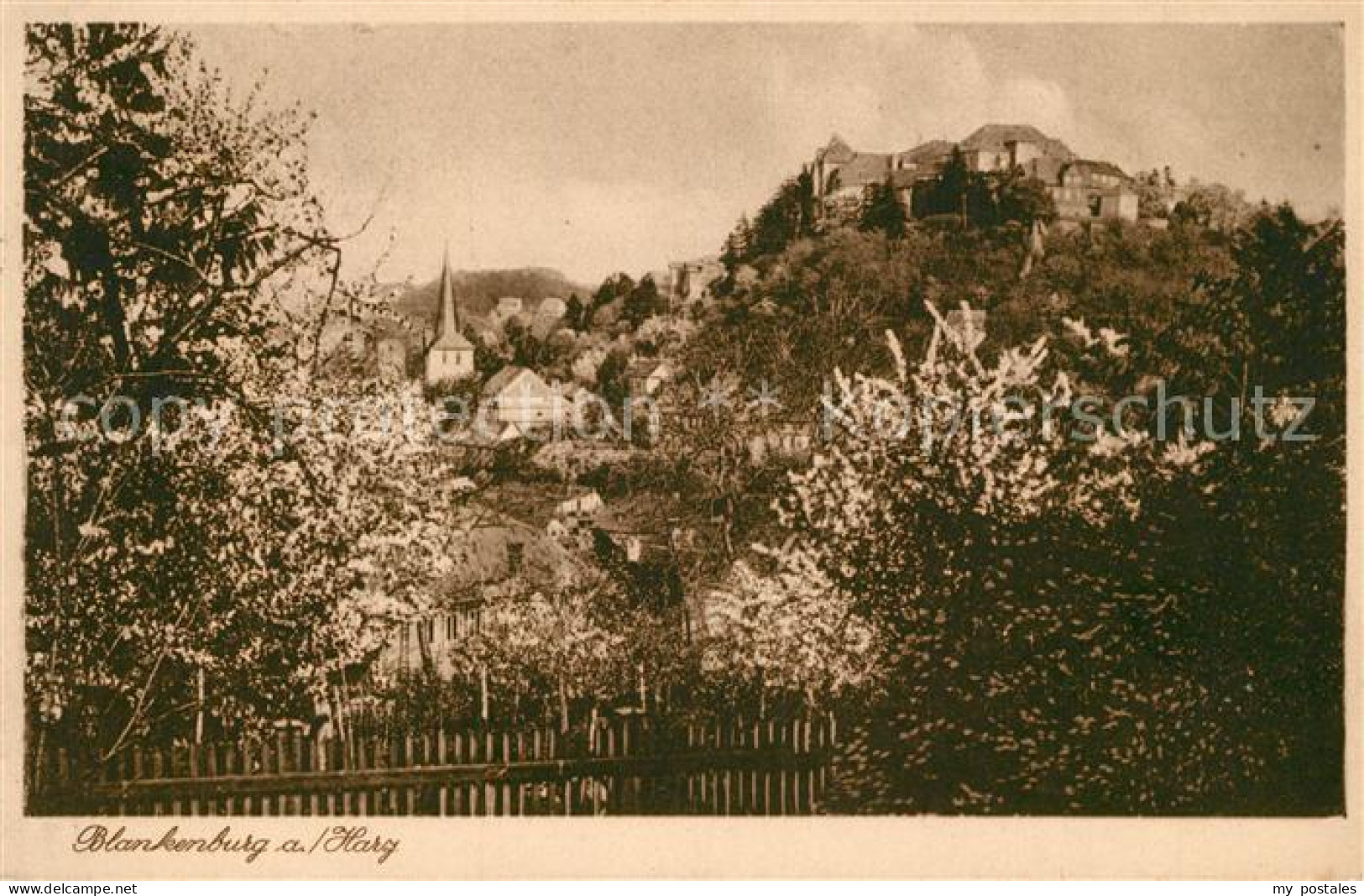 Blankenburg Harz Schloss