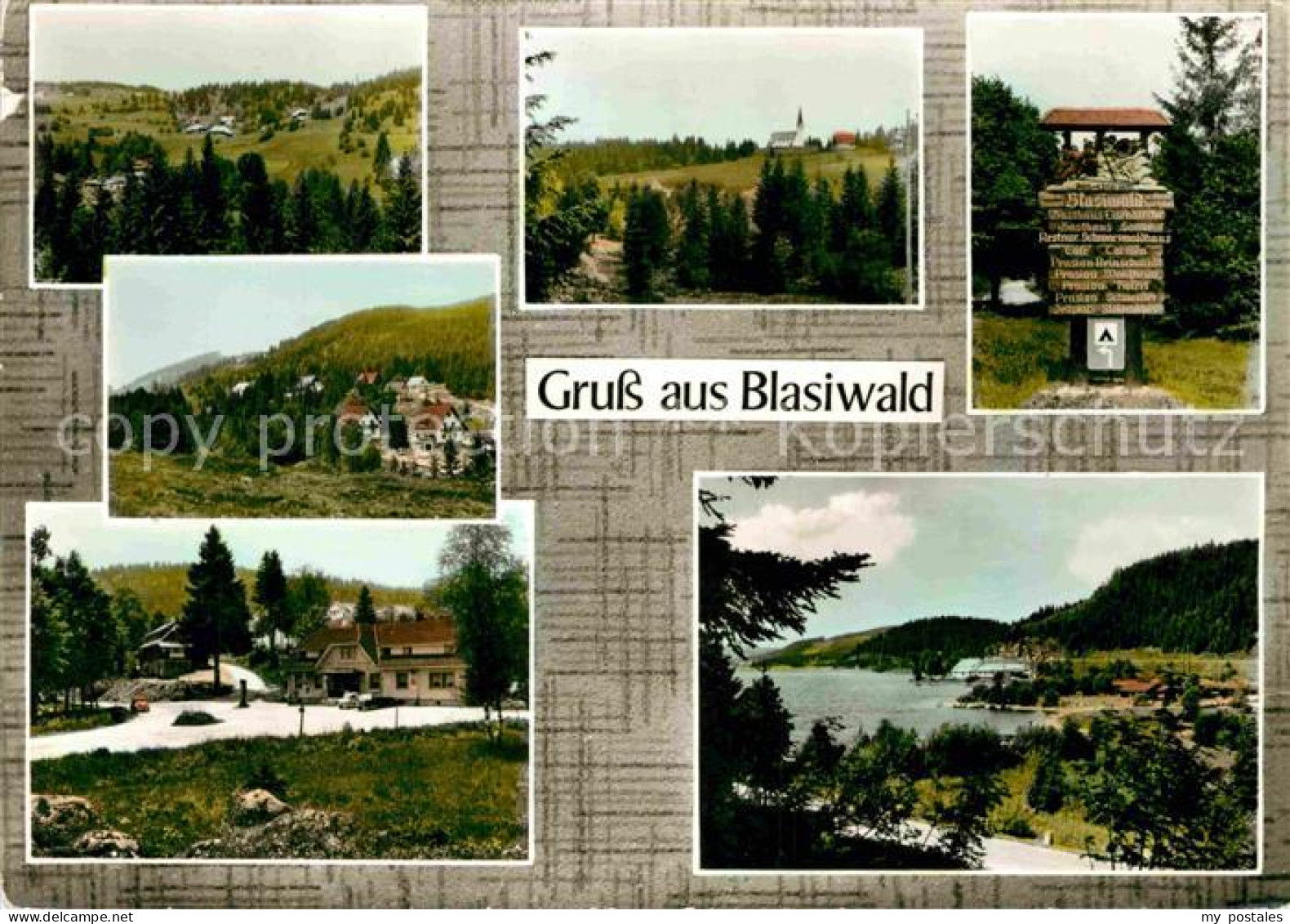 Blasiwald Schluchsee Hochschwarzwald BW Teilansichten Schluchsee Wegweiser