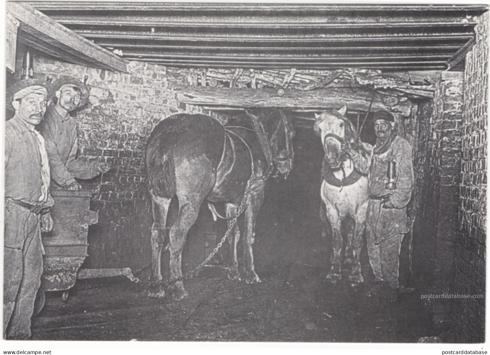 Blegny-Mine - Le travail du fond - repro - & mining, horse