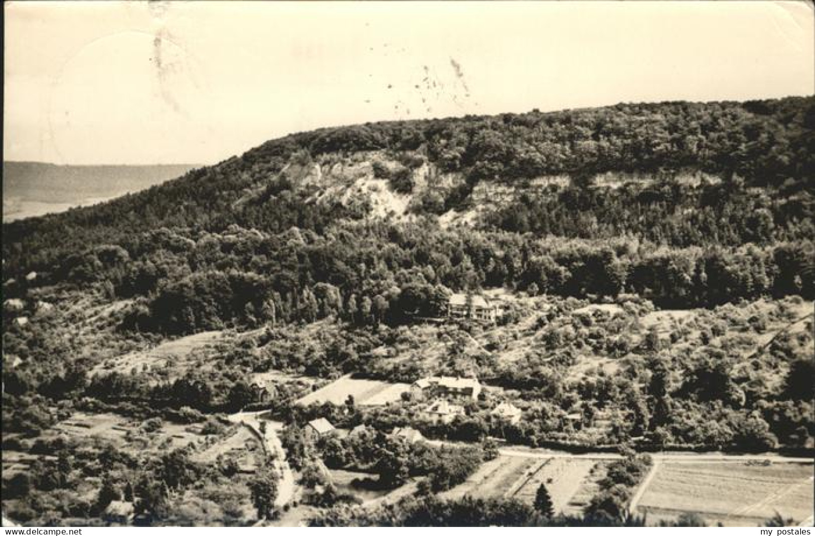 Bleicherode Harz Vogelbergklippen Waldschloesschen