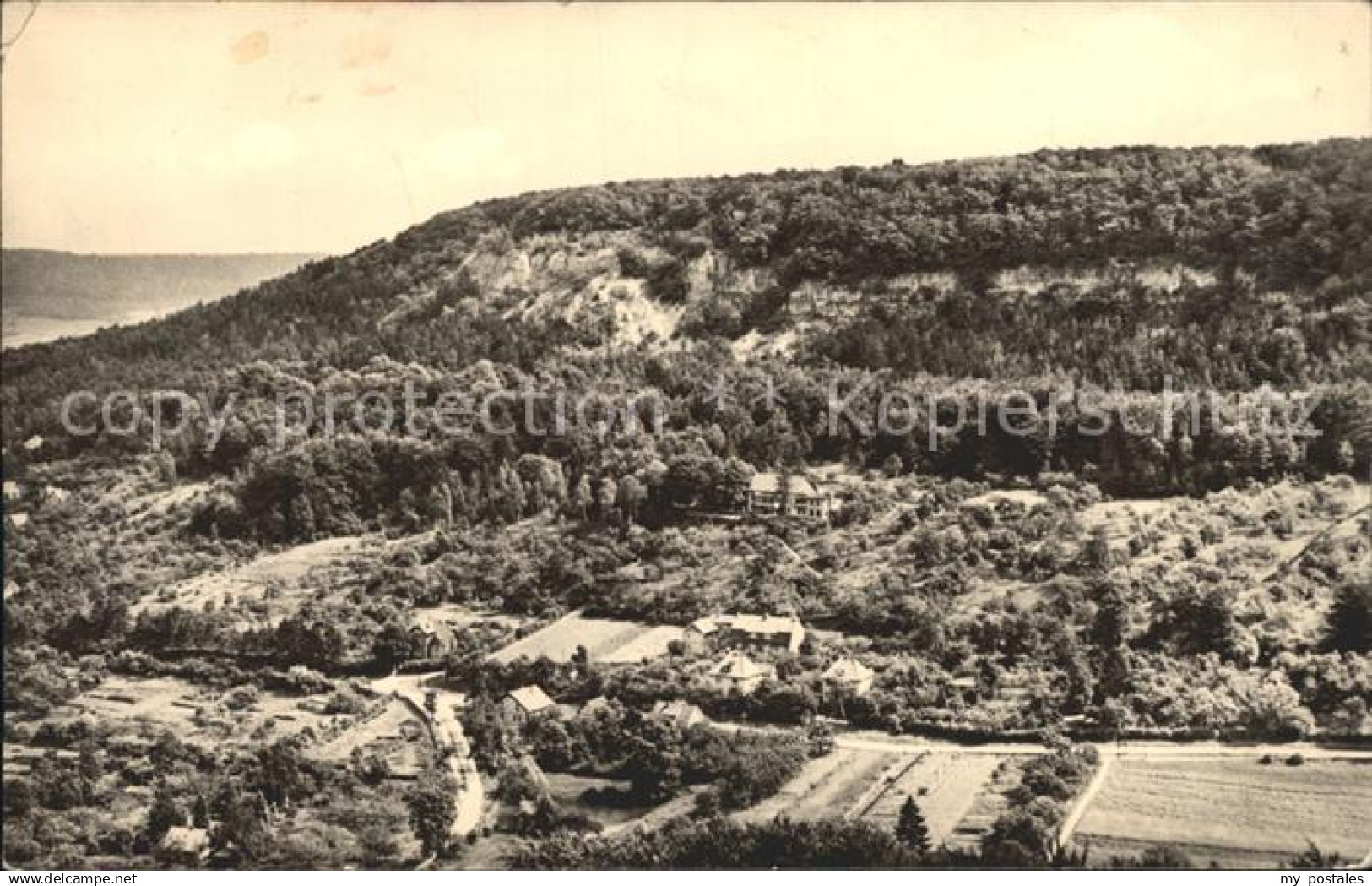 Bleicherode Vogelbergklippen mit Waldschloesschen