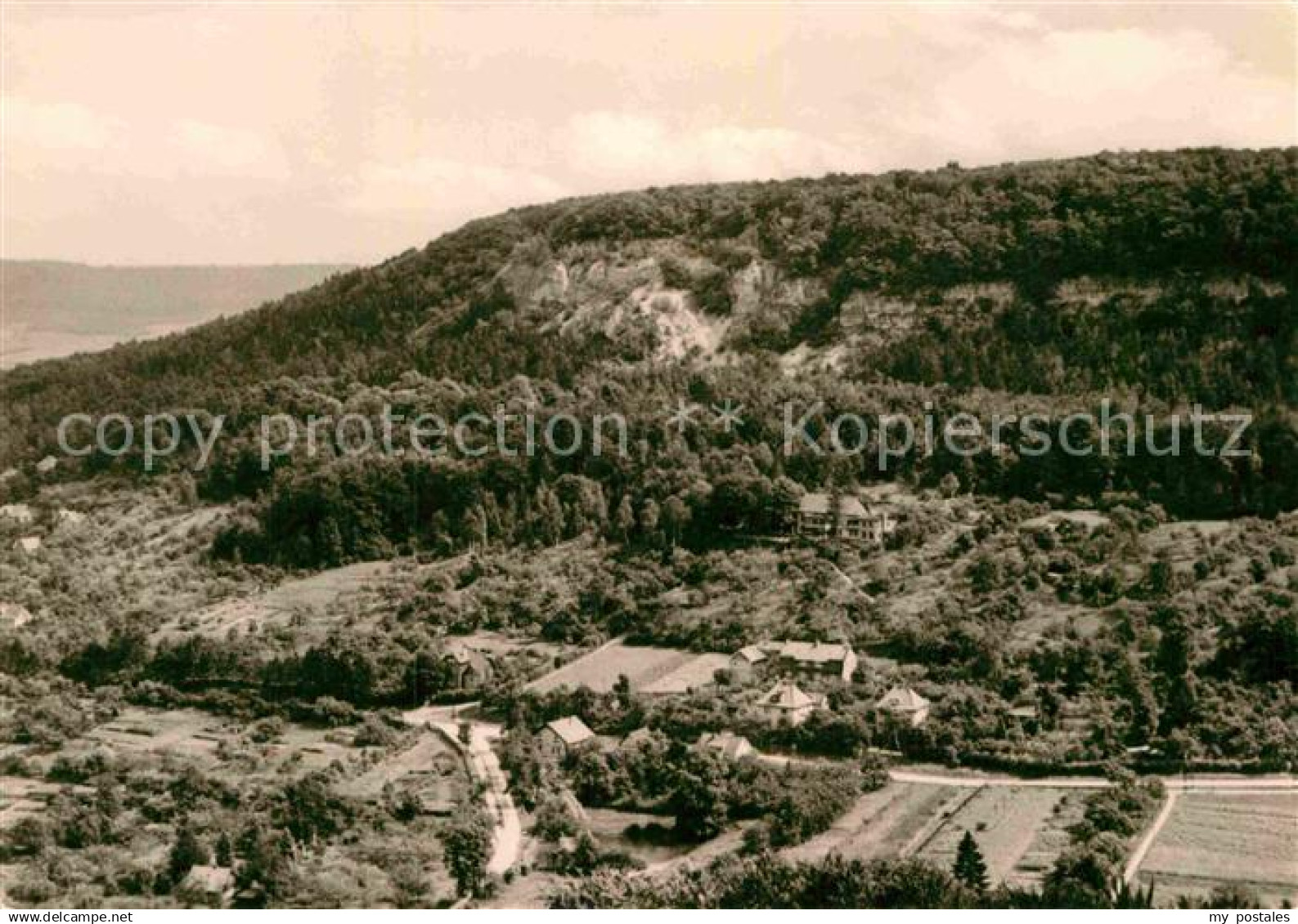 Bleicherode Vogelbergklippen Waldschloesschen