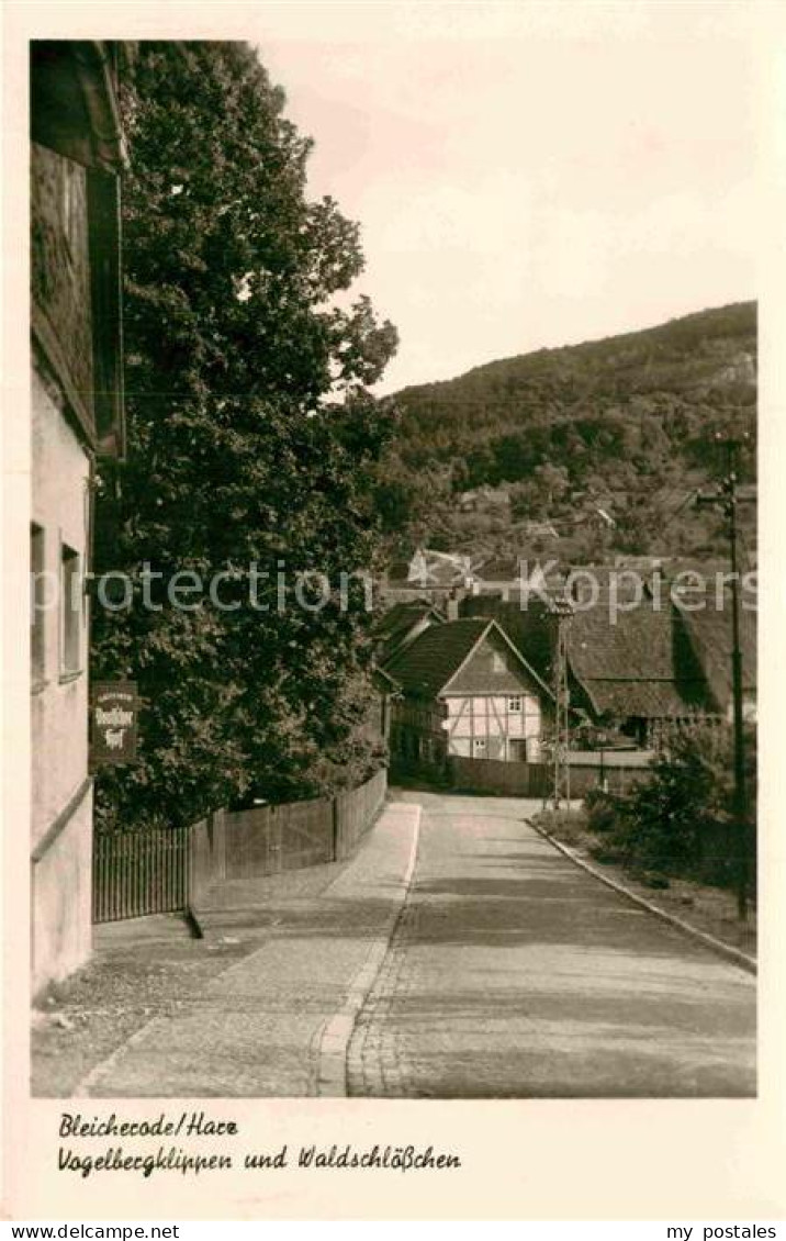 Bleicherode Vogelbergklippen Waldschloesschen