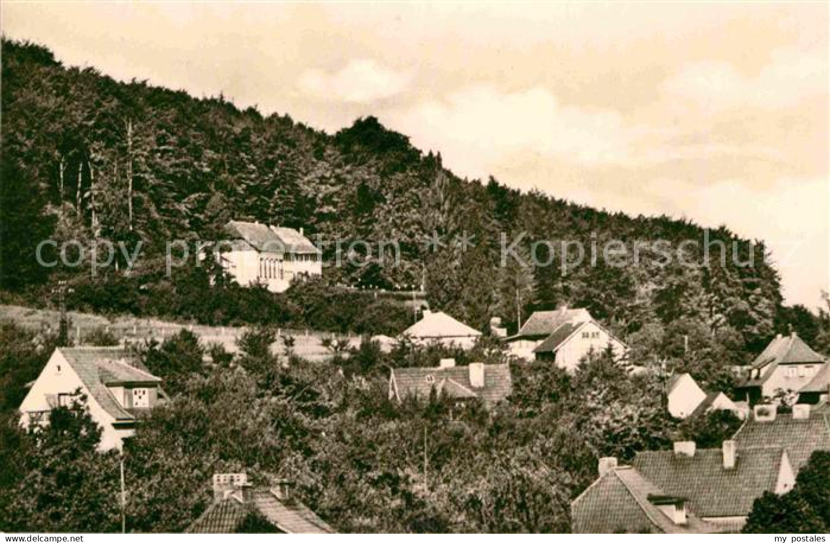 Bleicherode Waldhaus Japan