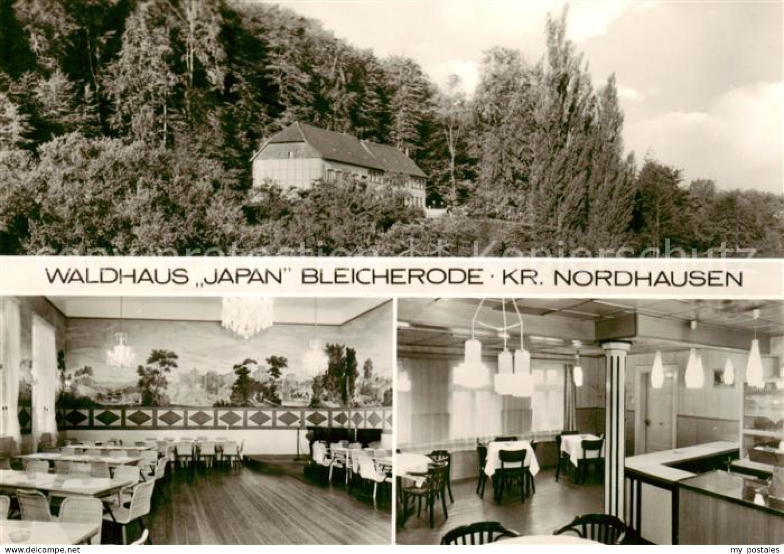 Bleicherode Waldhaus Japan Gaststaette