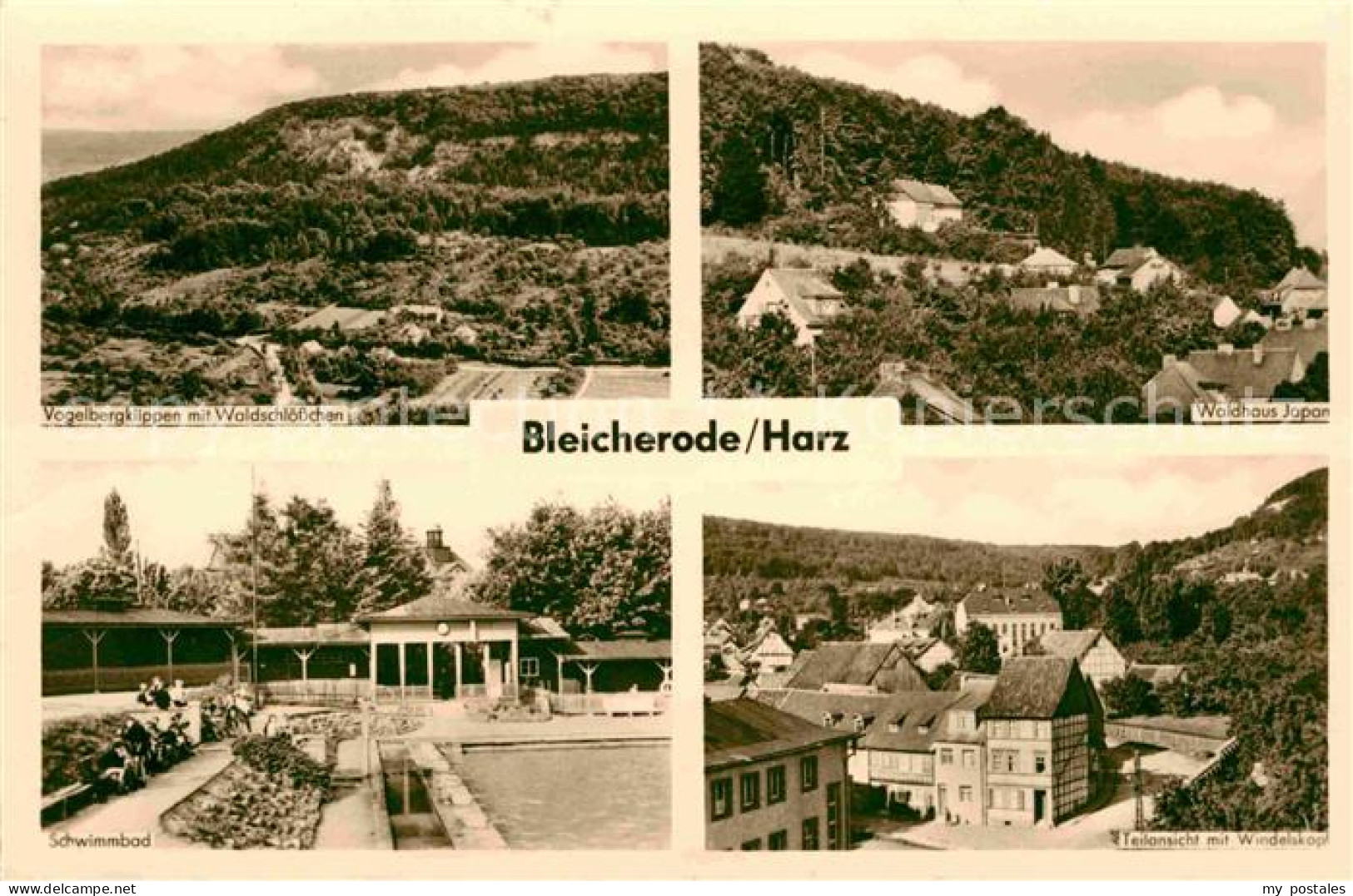 Bleicherode Waldhaus Japan Schwimmbad Vogelbergklippen Waldschloesschen