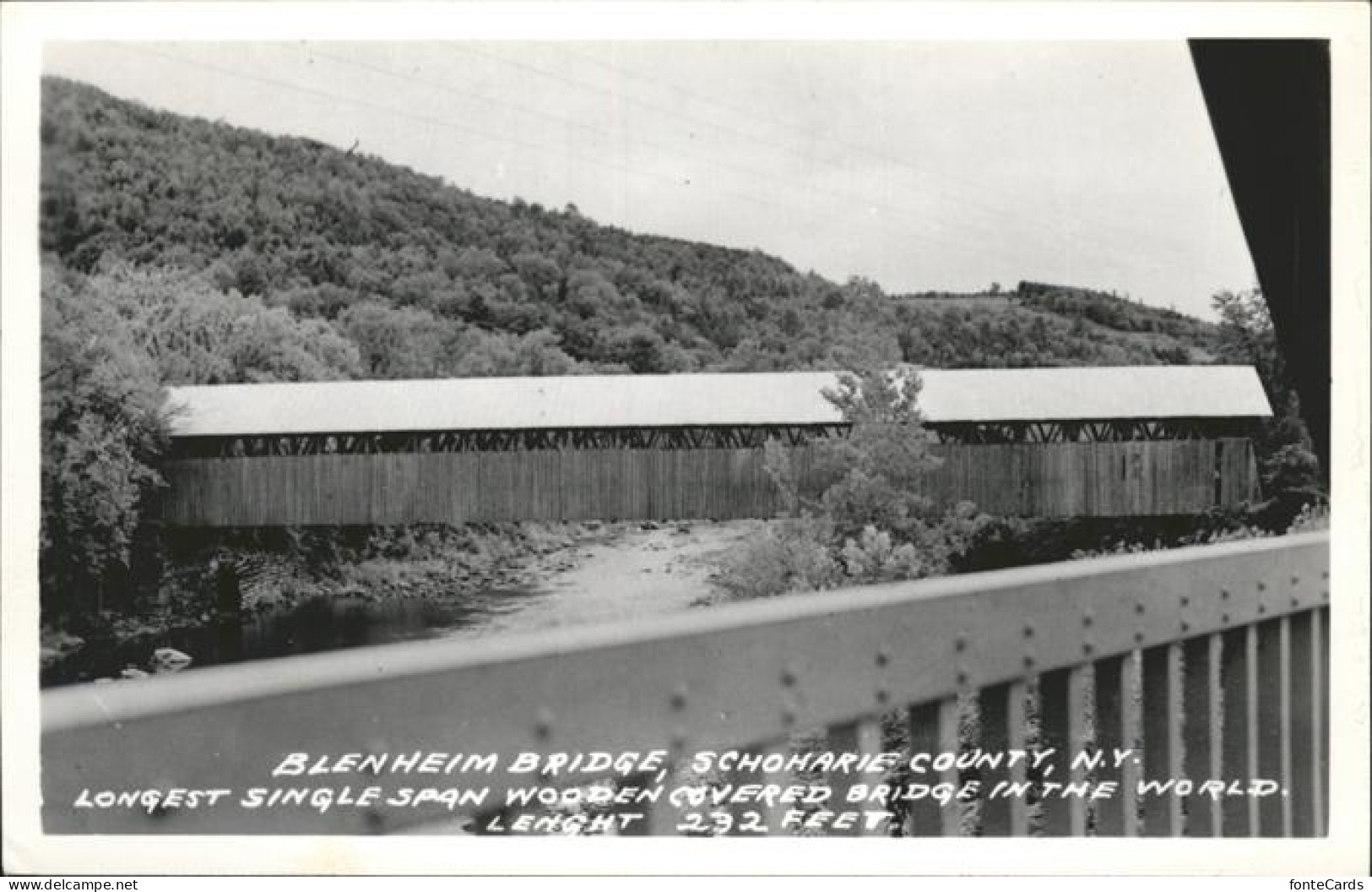 Blenheim South Carolina