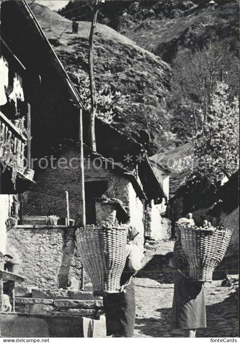 Blenio Valle di Blenio Motivo