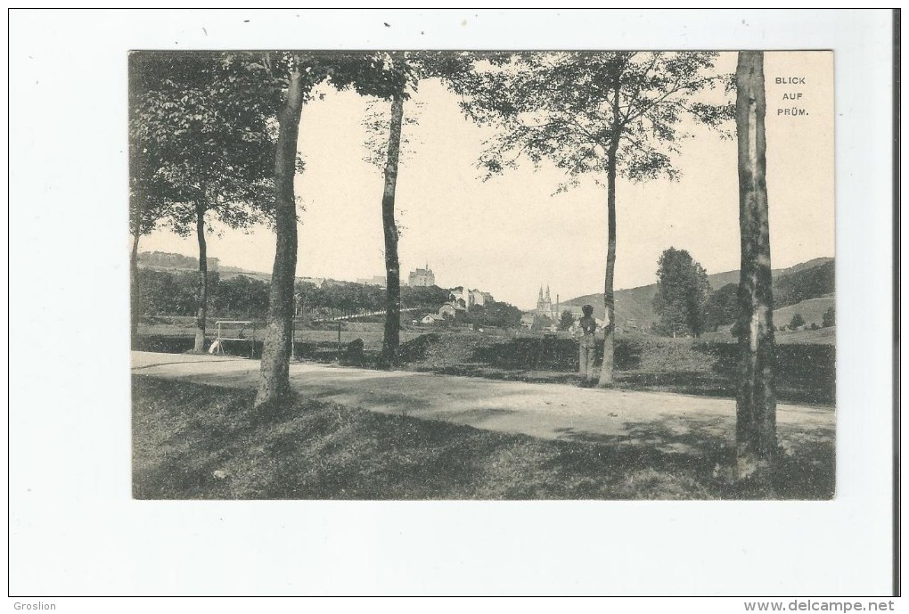BLICK AUF PRUM 12847      1908